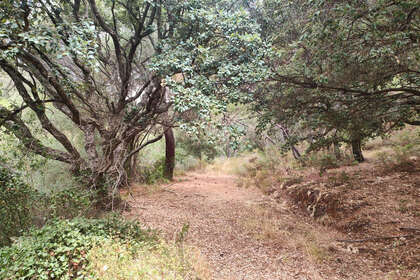 Grund til salg i Istán, Málaga. 