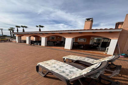 Fincaer til salg i Dolores, Alicante. 