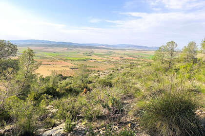 Участок Продажа в Yecla, Murcia. 