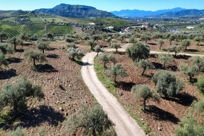 Grund til salg i Alora, Málaga. 