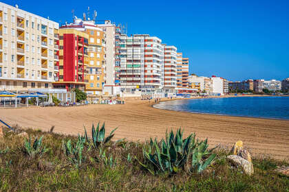 Apartamento venta en Torrevieja, Alicante. 