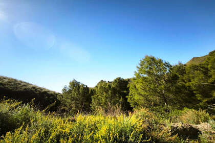 Parcelle/Propriété vendre en Lorca, Murcia. 