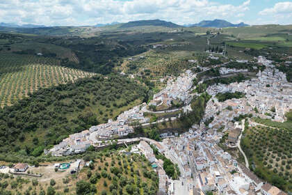 Pozemky na prodej v Setenil de las Bodegas, Cádiz. 
