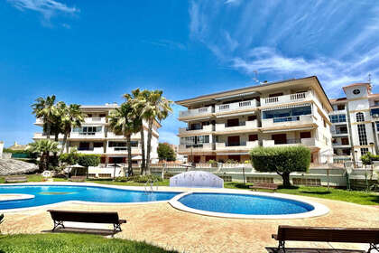 Apartmány na prodej v Torrelamata - La Mata, Torrevieja, Alicante. 