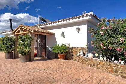 Farmy na prodej v Estepona, Málaga. 