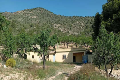 Таунхаус Продажа в Salinas, Alicante. 