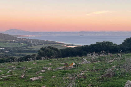 Pozemky na prodej v Tarifa, Cádiz. 
