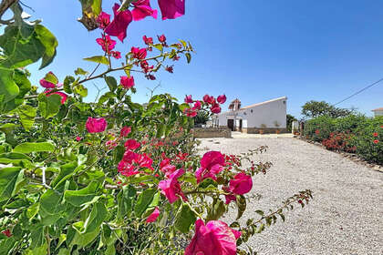 Cluster house for sale in Canillas de Aceituno, Málaga. 