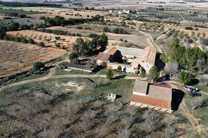 Farmy na prodej v Xara, la, Alicante. 
