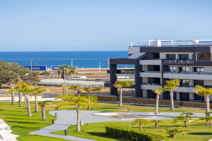 Penthouse venda em , Orihuela, Alicante. 