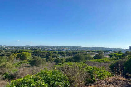 Pozemky na prodej v Sotogrande, Cádiz. 
