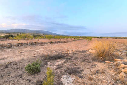 Parcelle/Propriété vendre en Pinoso, Alicante. 