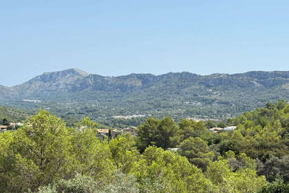 情节 出售 进入 Benifallim, Alicante. 