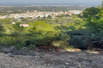 情节 出售 进入 Benidoleig, Alicante. 