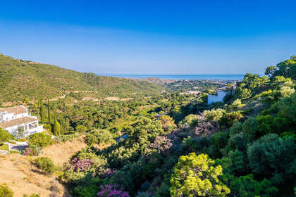情节 出售 进入 Marbella, Málaga. 
