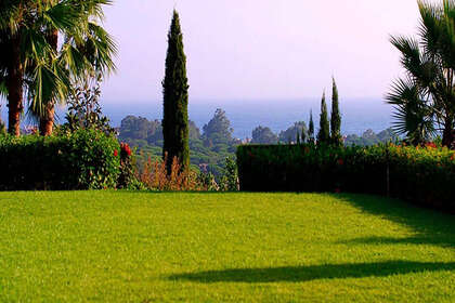 Cluster house for sale in Elviria, Marbella, Málaga. 