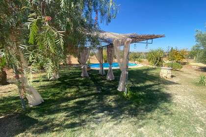 Plot for sale in San Marcos, Almendralejo, Badajoz. 