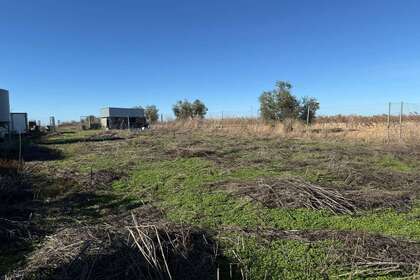 Landbouwgrond verkoop in Almendralejo, Badajoz. 