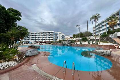 Studier til salg i Amarilla Golf, San Miguel de Abona, Santa Cruz de Tenerife, Tenerife. 