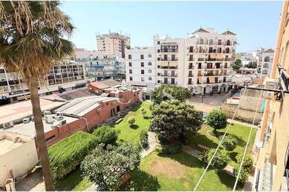 fotka