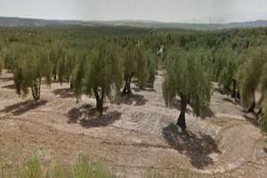 Terreni agricoli vendita in Otros, Bailén, Jaén. 