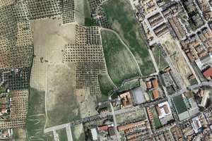 Terres agricoles vendre en Pisos verdes, Bailén, Jaén. 