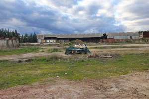 Rural/Agricultural land for sale in Travesia N-iv, Bailén, Jaén. 