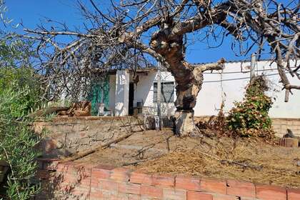 Rural/Agricultural land for sale in Bailén, Jaén. 