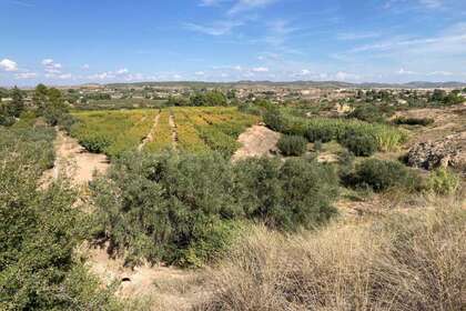 Landdistrikter / landbrugsjord til salg i Cehegín, Murcia. 