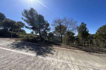 Urban plot for sale in Pals, Girona. 