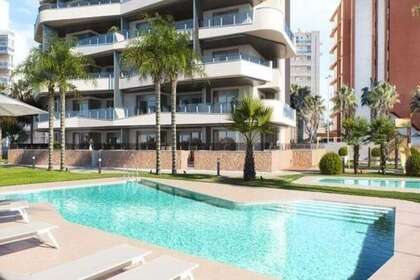 Apartment zu verkaufen in Guardamar del Segura, Alicante. 
