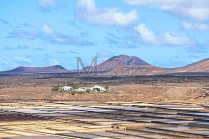 Landwirtschaftliche Fläche zu verkaufen in Antigua, Las Palmas, Fuerteventura. 
