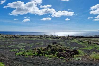 Rural/Agricultural land for sale in Lanzarote. 