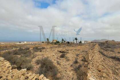 Rural/Agricultural land for sale in Tindaya, La Oliva, Las Palmas, Fuerteventura. 