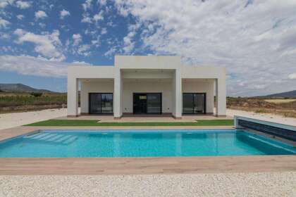 House for sale in Pinoso, Alicante. 