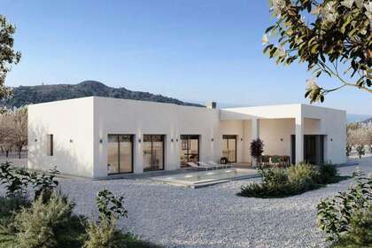 House for sale in Pinoso, Alicante. 