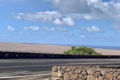 Pozemky na prodej v Lanzarote. 