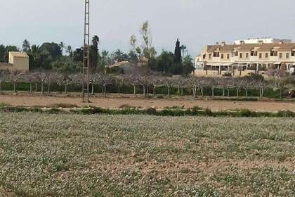 Urban grund til salg i Derramador (elche) (pda), Alicante. 