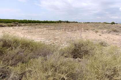 Landdistrikter / landbrugsjord til salg i Derramador (elche) (pda), Alicante. 