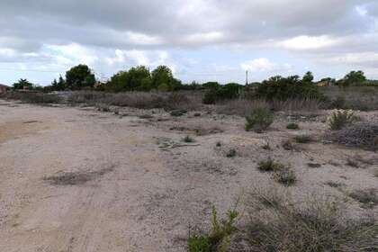 Urban grund til salg i Derramador (elche) (pda), Alicante. 