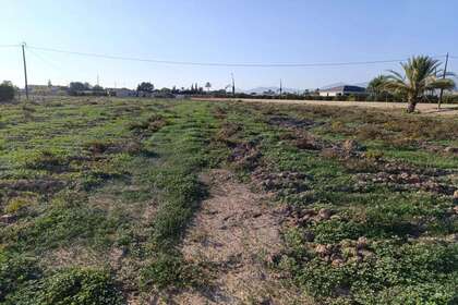 Landdistrikter / landbrugsjord til salg i Derramador (elche) (pda), Alicante. 