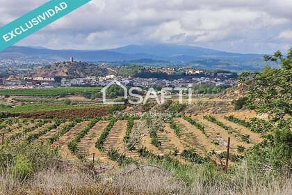 Landdistrikter / landbrugsjord til salg i Monserrat, Valencia. 