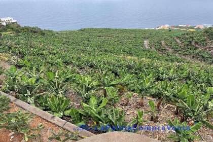 Rural/Agricultural land for sale in San Andrés y Sauces, Santa Cruz de Tenerife, La Palma. 