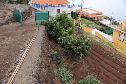 Rural/Agricultural land for sale in Puntallana, Santa Cruz de Tenerife, La Palma. 