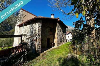 Country house for sale in Peñamellera Alta, Asturias. 