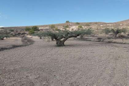 Landdistrikter / landbrugsjord til salg i Hondón de las Nieves, Alicante. 