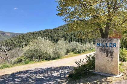 Terras Agrícolas / Rurais venda em Murcia. 