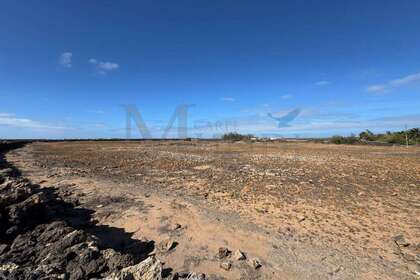 Venkovské / zemědělské půdy na prodej v El Cotillo, La Oliva, Las Palmas, Fuerteventura. 