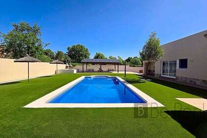 Studio in Brunete, Madrid. 