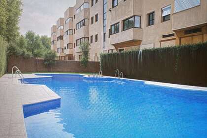 Estudio venta en Sevilla. 